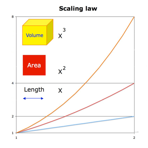 张俊林：OpenAI o1的价值意义及强化学习的Scaling Law