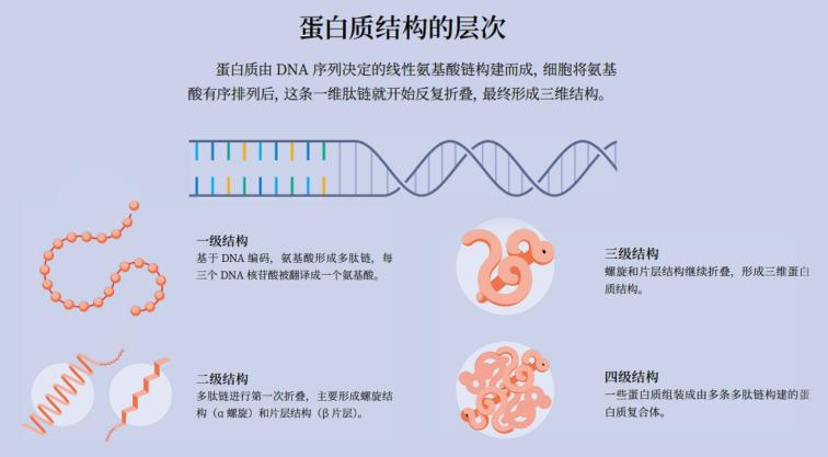 从诺贝尔化学奖看AI与游戏的无限可能