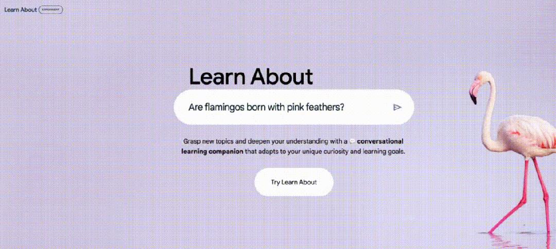 谷歌推出教育AI产品“Learn About”，步步引导，多模态呈现