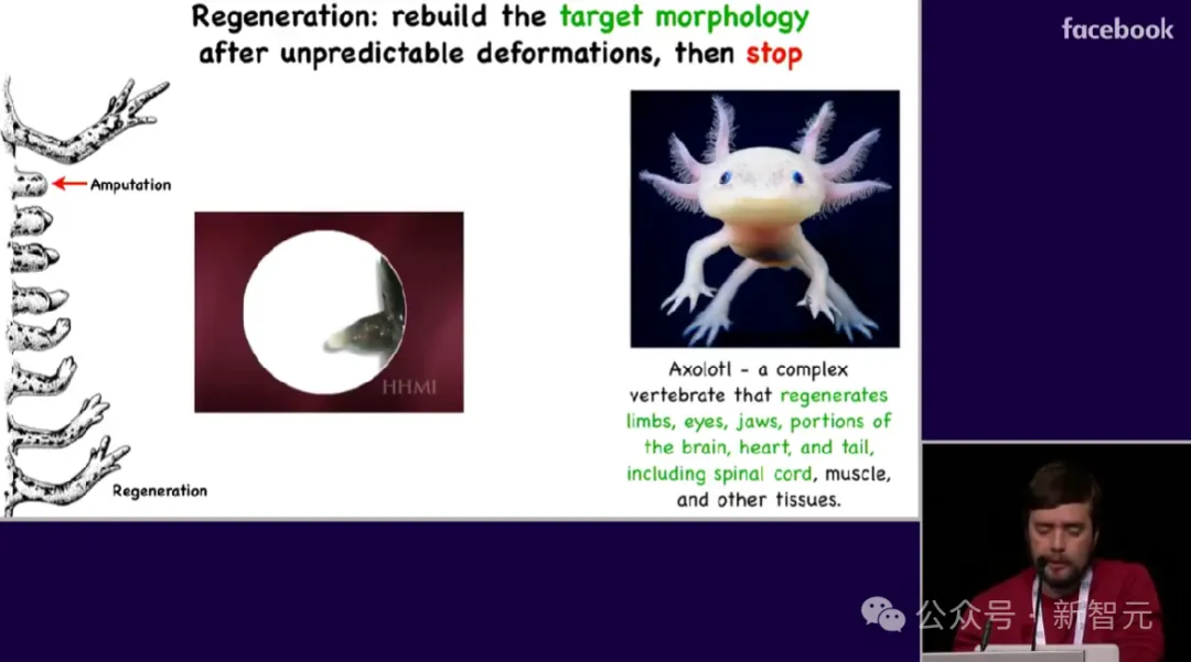 扩散模型=进化算法！生物学大佬用数学揭示本质