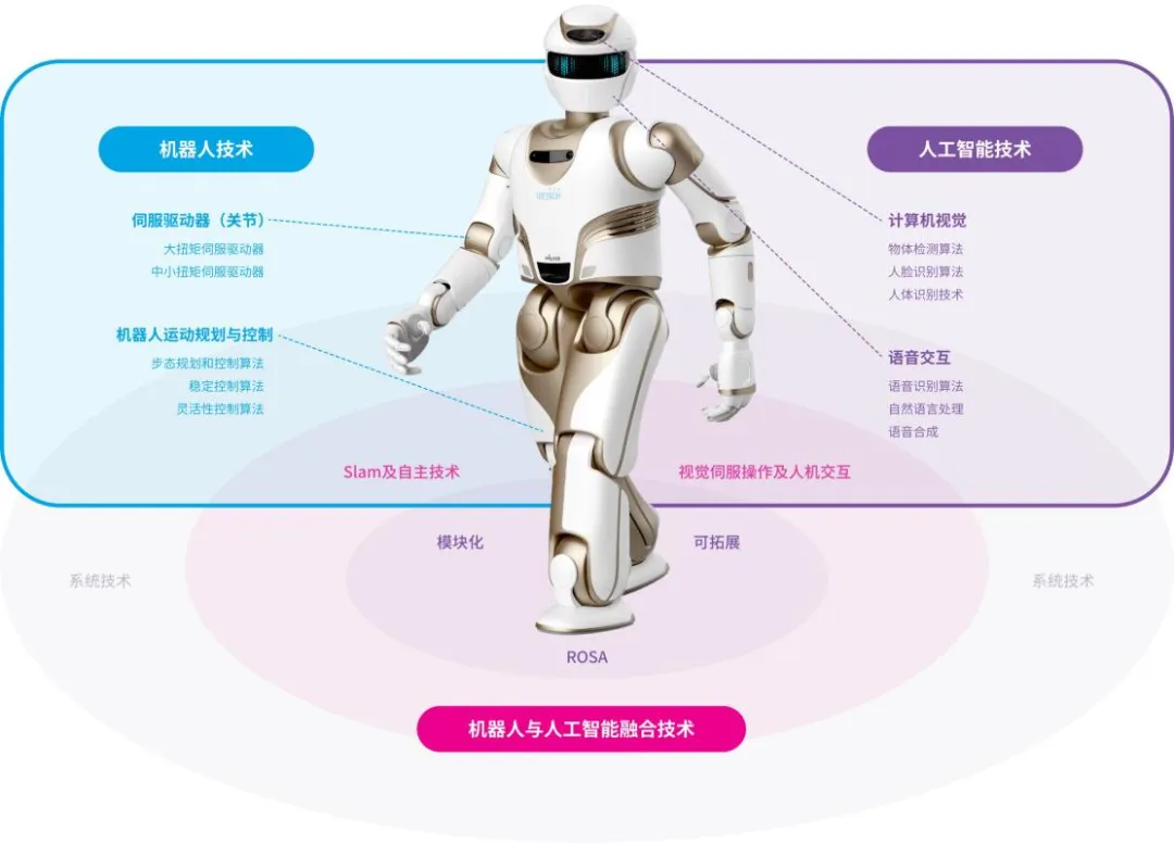 万字解读人形机器人：AI落地物理世界的最佳载体