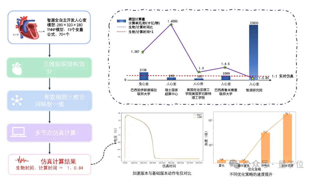 智源发布心脏模型！超实时仿真人体生理功能，速度提升180倍