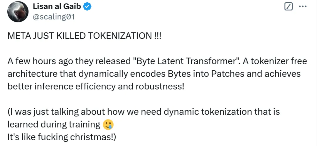 Tokenization不存在了？Meta最新研究，无需Tokenizer的架构来了