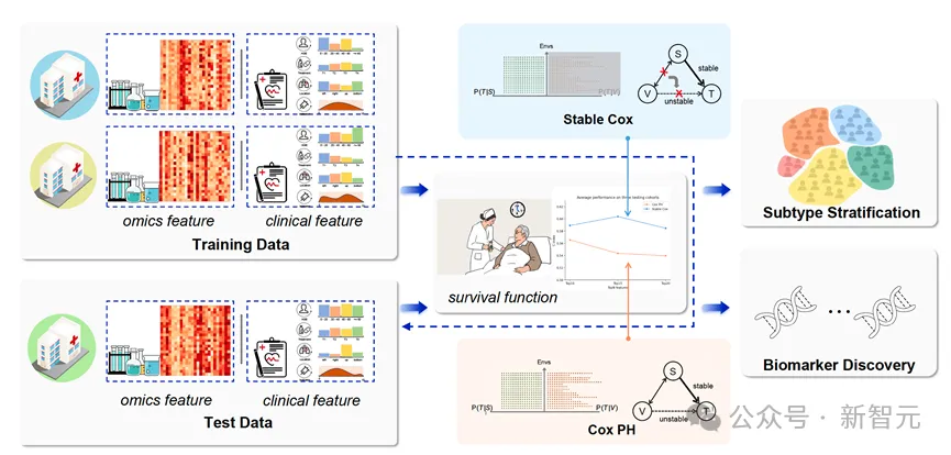 稳定学习预后标志物，多种癌症生存曲线证实！清华最新成果登Nature顶级子刊