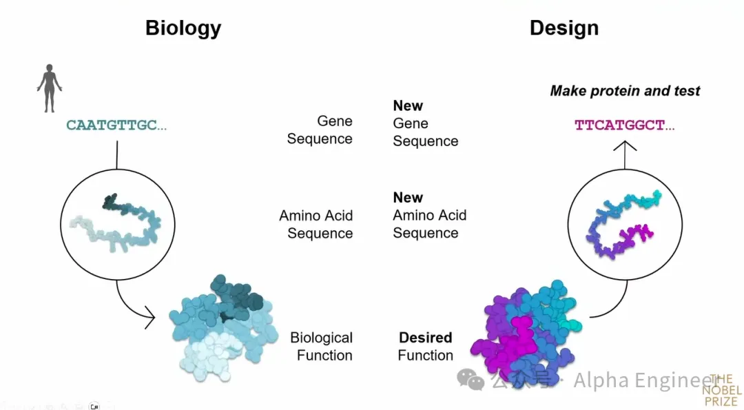 诺奖得主David Baker：AI for Science的13片蓝海（上篇） - 癌症/自免治疗、阿兹海默症、分子嗅觉等