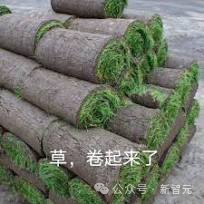 史上首个100%开源大模型重磅登场！破纪录公开代码/权重/数据集/训练全过程，AMD都能训