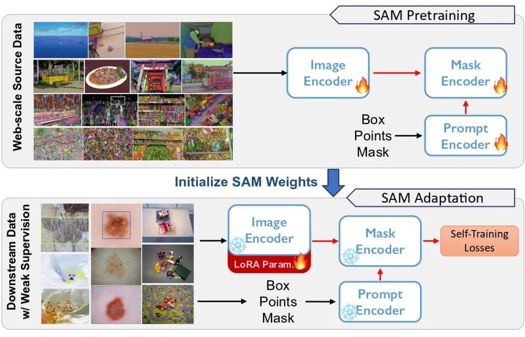 CVPR 2024 | 分割一切模型SAM泛化能力差？域适应策略给解决了