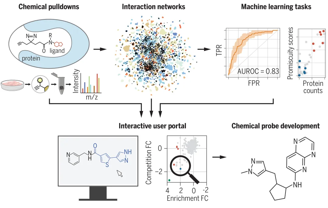 辉瑞 AI 方法登 Science，揭示数以万计的配体-蛋白质相互作用