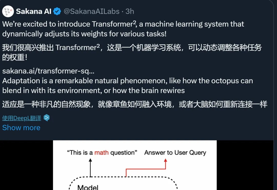 Transformer²要做「活」的AI模型，动态调整权重，像章鱼一样适应环境