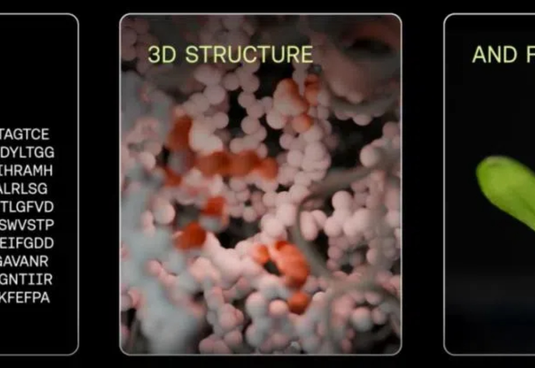 Science：AI模拟5亿年生物进化，创造了一种「前所未有」的蛋白质