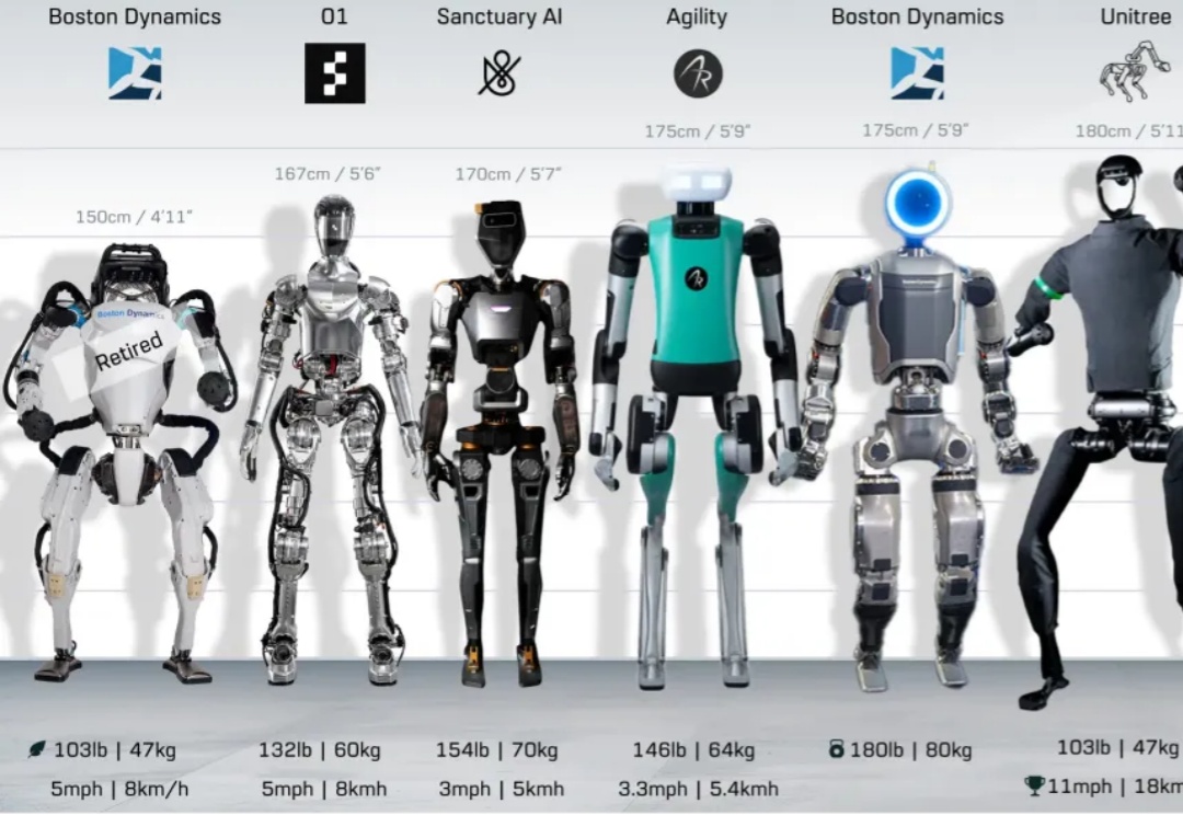 人形机器人觉醒之年？2024年十大机器人盘点：理想很美好现实很骨感
