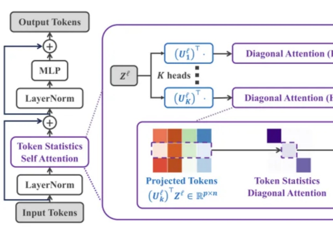 首个基于统计学的线性注意力机制ToST，高分拿下ICLR Spotlight